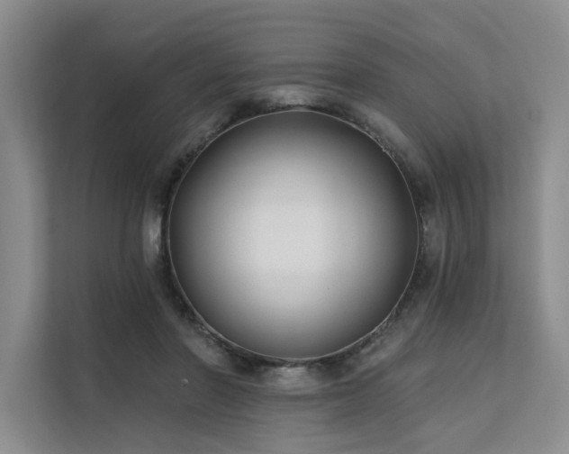 X0000112200406200908071438