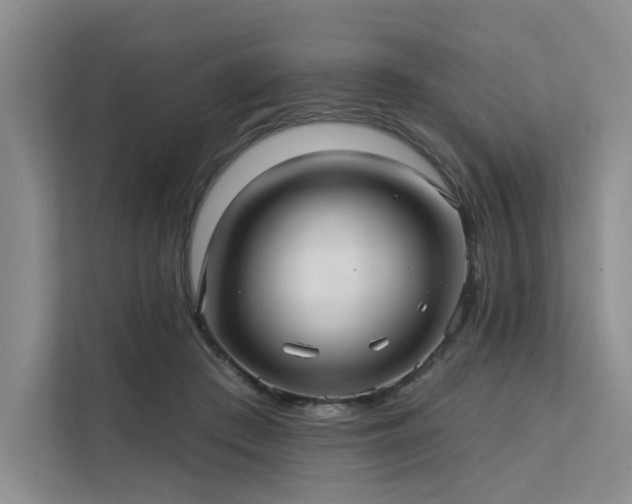 X0000112200409200908071438