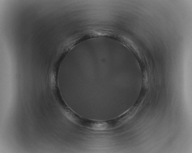 X0000112200410200908071438