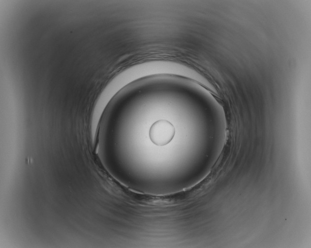 X0000112200413200908071438