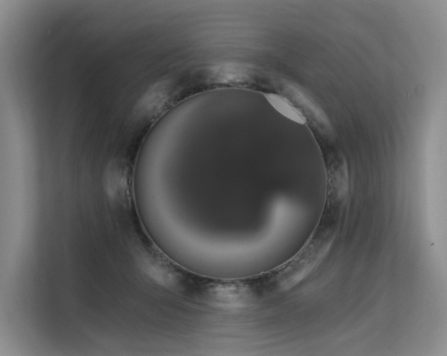 X0000112200415200908071438