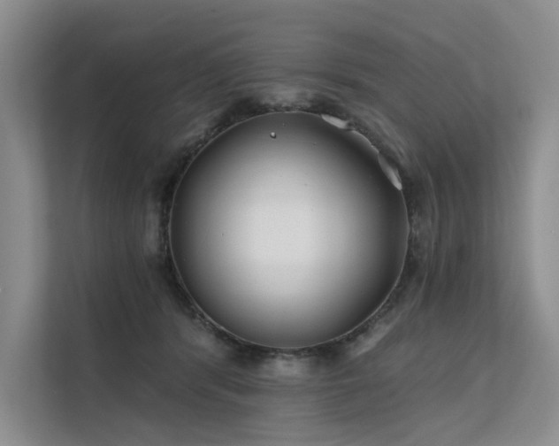 X0000112200416200908071438