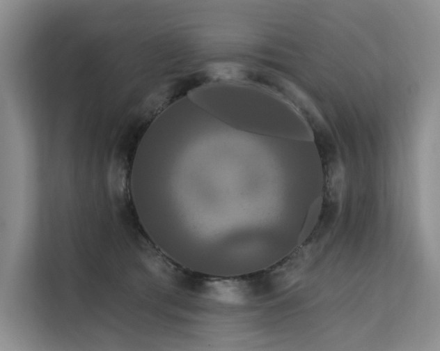 X0000112200417200908071438