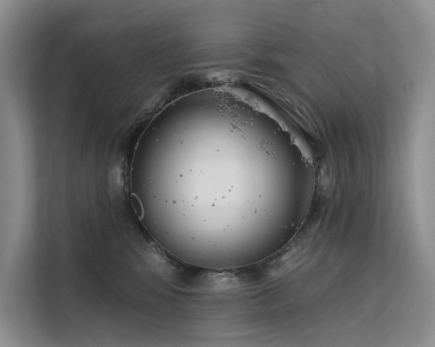 X0000112200424200908071438