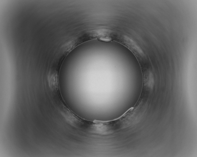 X0000112200425200908071438