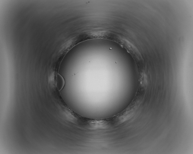 X0000112200428200908071438