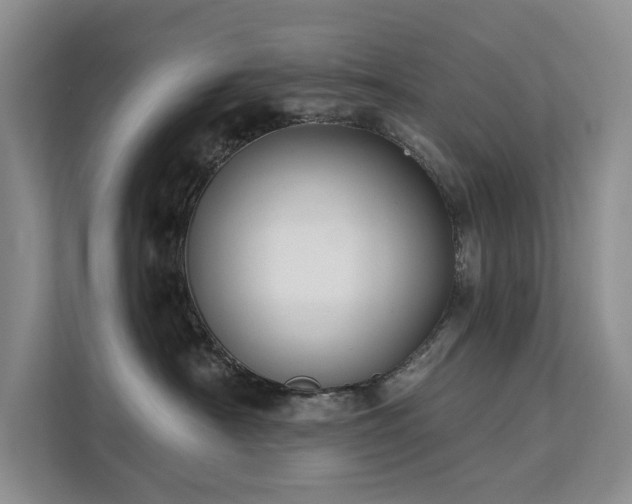 X0000112200430200908071438