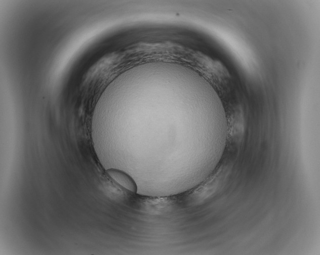 X0000112200431200908071438