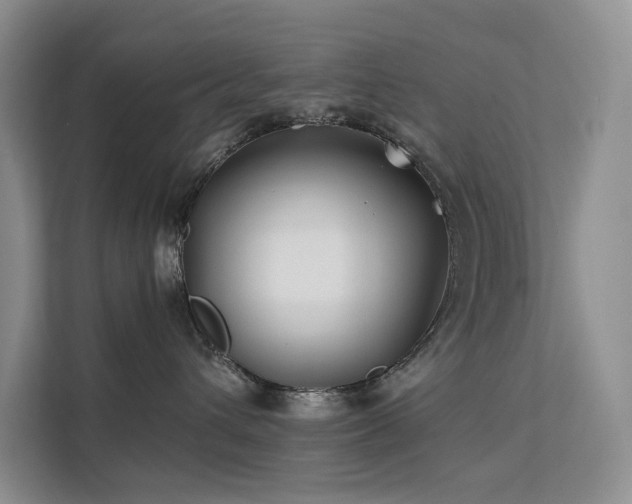X0000112200432200908071438