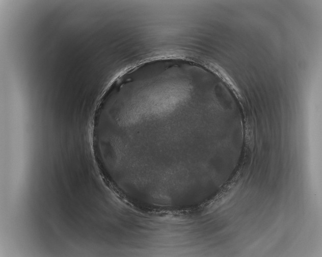 X0000112200434200908071437