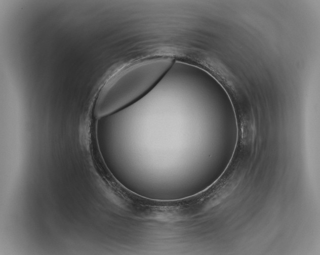X0000112200436200908071437