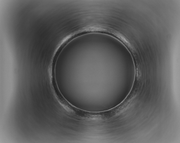 X0000112200438200908071437