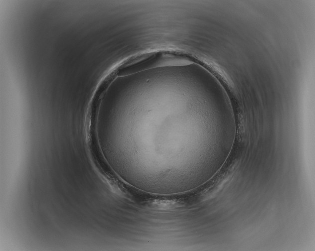X0000112200440200908071437