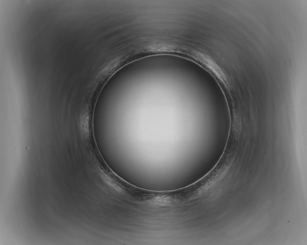 X0000112200441200908071437
