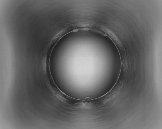 X0000112200442200908071437