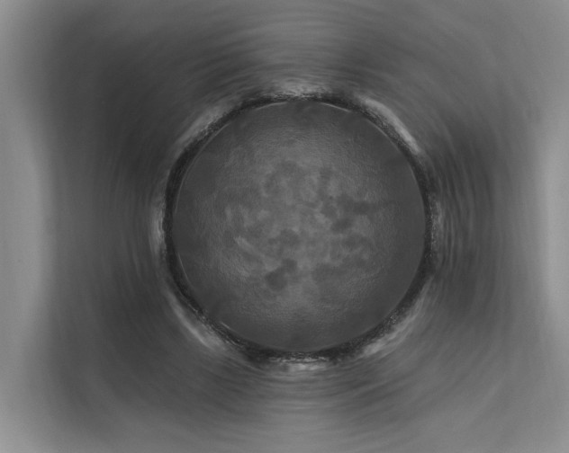 X0000112200443200908071437