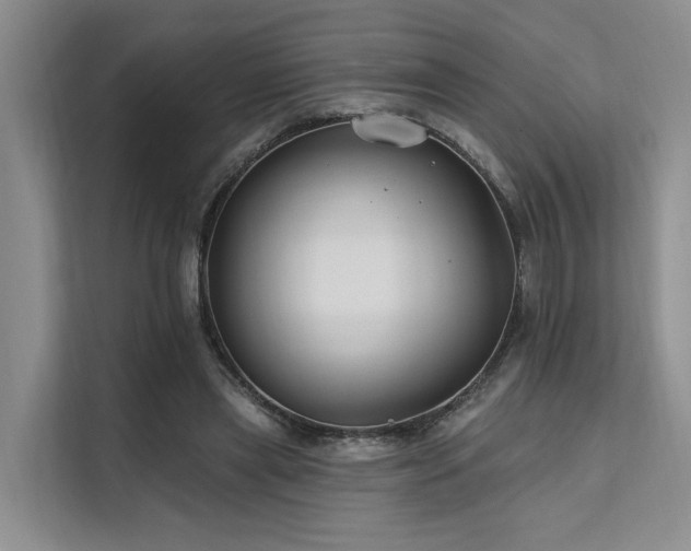 X0000112200445200908071437