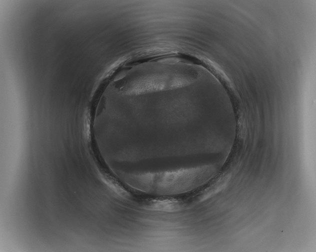 X0000112200446200908071437