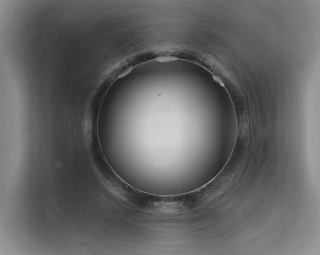 X0000112200448200908071437