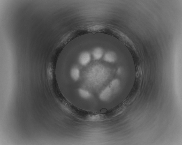 X0000112200452200908071437
