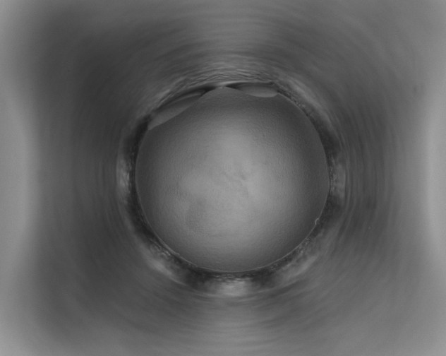 X0000112200456200908071437