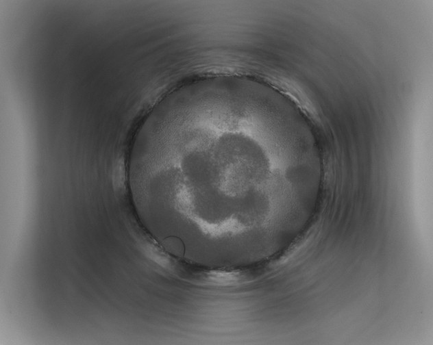 X0000112200457200908071437