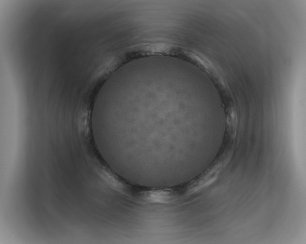 X0000112200462200908071437
