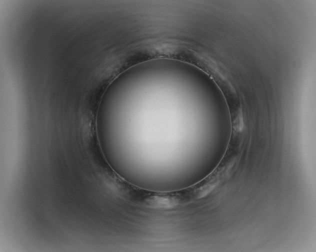 X0000112200464200908071437