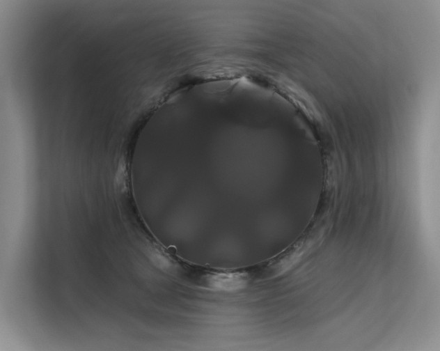 X0000112200465200908071437