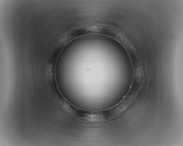 X0000112200466200908071437