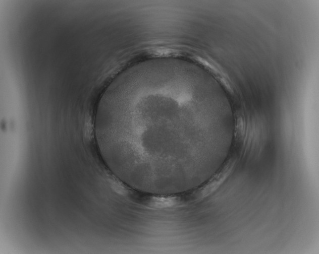 X0000112200469200908071437
