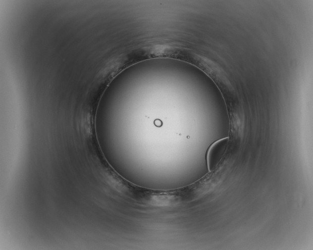 X0000112200470200908071437