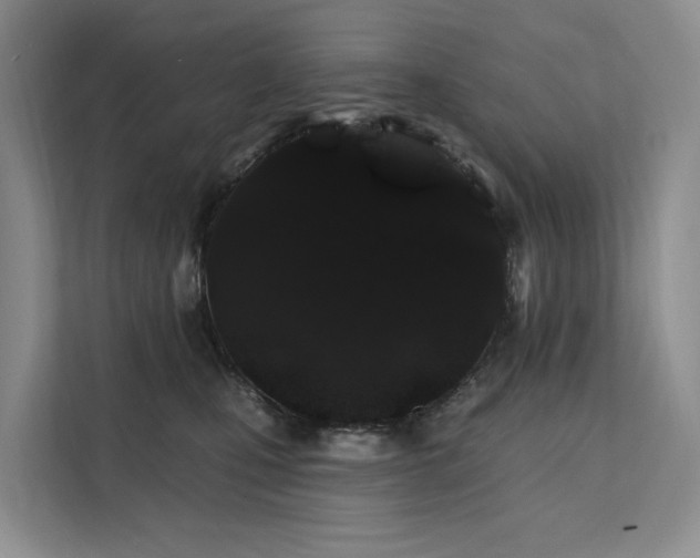 X0000112200471200908071437