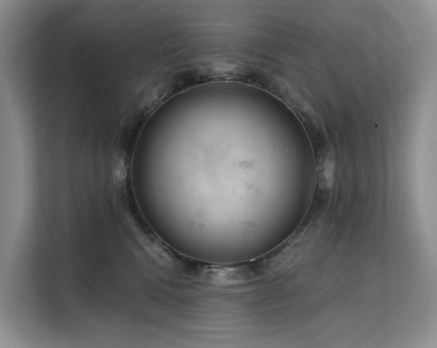 X0000112200472200908071437