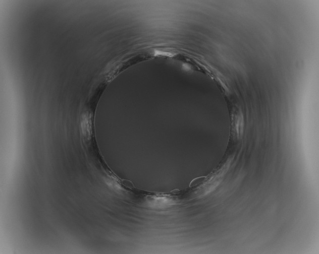 X0000112200475200908071437