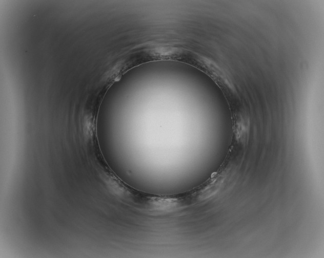 X0000112200476200908071437