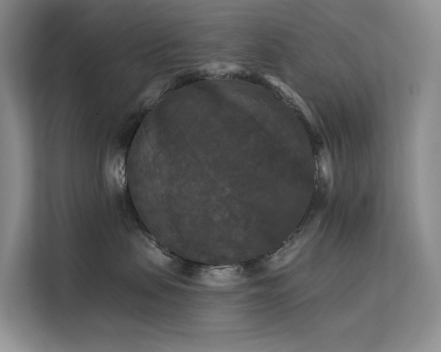 X0000112200479200908071437