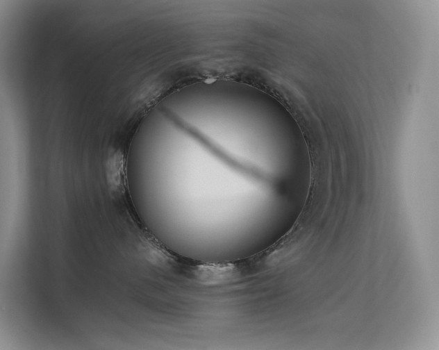 X0000112200480200908071438