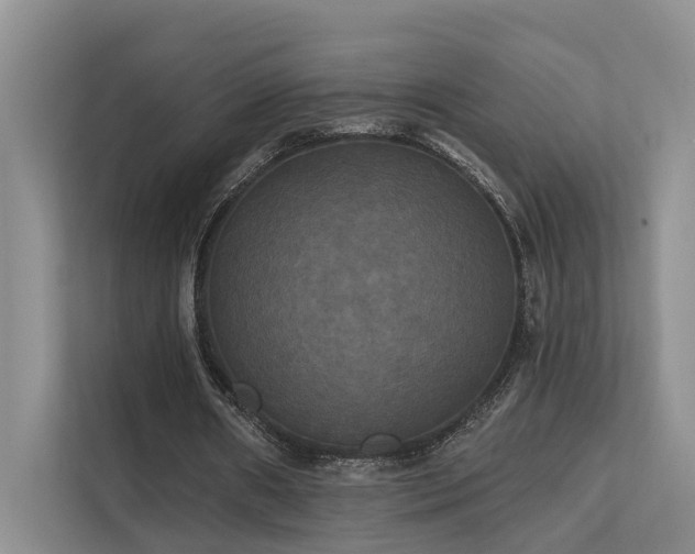 X0000112200482200908071437