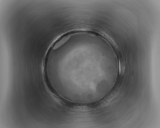 X0000112200483200908071437