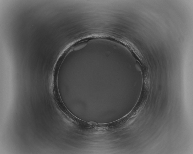 X0000112200484200908071437