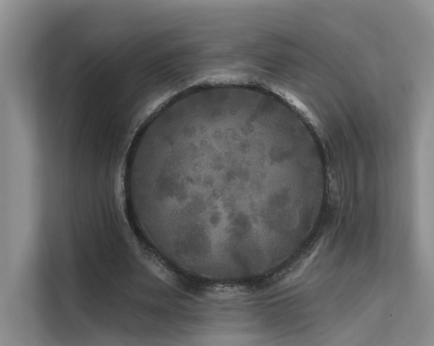 X0000112200487200908071437