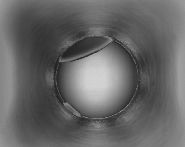 X0000112200489200908071437