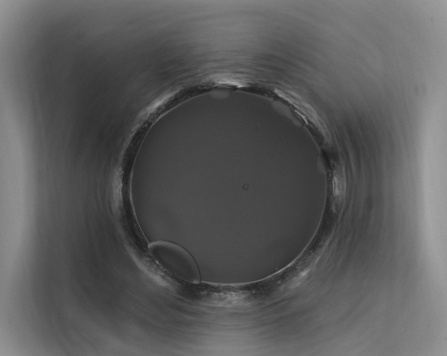 X0000112200492200908071437
