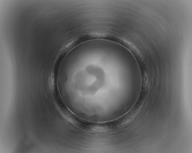 X0000112200494200908071437
