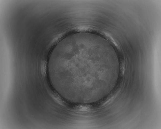 X0000112200495200908071437