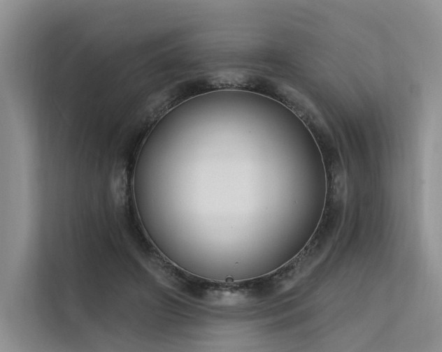 X0000112200498200908071437