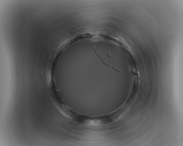 X0000112200500200908071437