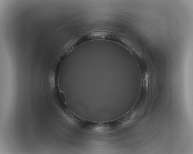X0000112200504200908071437