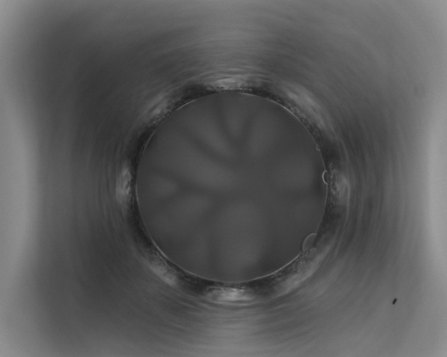 X0000112200507200908071437